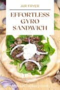 gyro sandwich pin