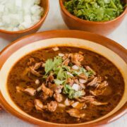beef birria served in a brownish ceramic bowl with white onions and cilantro