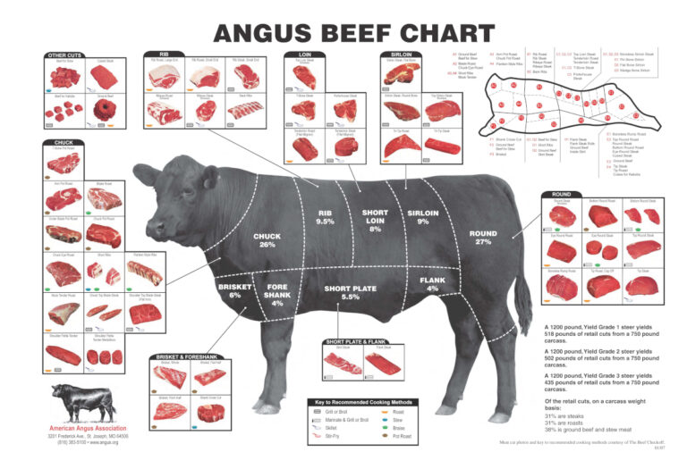 A beef cut diagram that shows many different cuts of beef and where they originate from.