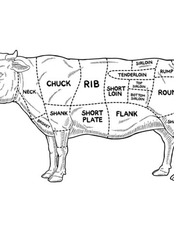 Sketched outline of a cow showing the beef cuts on the cow.