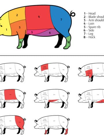 Colorful diagram showing the different pork cuts on a pig.